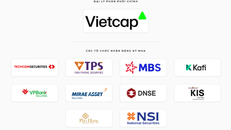 Các tổ chức phân phối cổ phiếu DatVietVAC