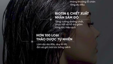 The Cheuda – đưa trải nghiệm chăm sóc tóc chuẩn Hàn Quốc đến gần hơn với người Việt