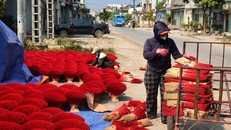 Quảng Phú Cầu: Sắc hương trên đường làng