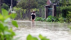 Mưa lớn tại Quảng Nam