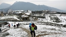 Mẫu Sơn trong tuyết. 