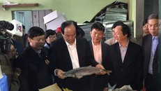 Tổ công tác của Thủ tướng Chính phủ đến thăm và làm việc với các cơ sở kinh doanh hải sản ở Quảng Bình vào sáng 15/12.