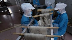 Công ty Cổ phần Minh Dương chuẩn bị hơn 150 tấn sản phẩm miến, bún khô, trị giá hơn 10,4 tỷ đồng phục vụ thị trường Tết. (Ảnh: Vũ Sinh/TTXVN)