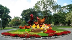  Tiểu cảnh gia đình gà - linh vật của Tết Đinh Dậu 2017. Ảnh: BTC