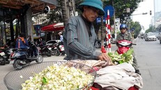 Anh Tuân cho biết phải vất vả về các vùng trồng bưởi để gom hoa mang ra thủ đô bán. Ảnh: Hiếu Công.