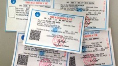 Hình ảnh minh họa