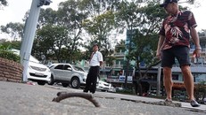 Công ty đền 1.000 USD vì để móc sắt làm khách Tây ngã 