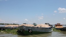 Các phương tiện chở cát bị tạm giữ.