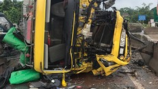 Xe tải chở trâu móp méo, hư hỏng nặng phần đầu sau vụ tai nạn. Ảnh: CTV