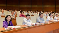 Quốc hội bấm nút thông qua Luật cảnh vệ chiều 20/6.