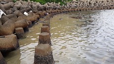 Dầu loang vào bờ biển đảo Cồn Cỏ xuất phát từ tàu hàng bị chìm. Ảnh: Th.L