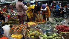 (Ảnh minh họa: Kim Há/TTXVN)