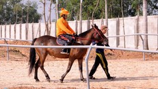 Tổng vốn đầu tư dự án trường đua dự kiến là 500 triệu USD. Ảnh minh họa: Lê Quân. 