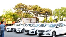 Ảnh minh họa. Nguồn: Tuấn Nguyễn