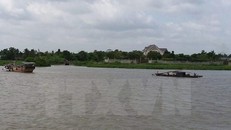 (Ảnh minh họa: Huyền Trang/TTXVN)