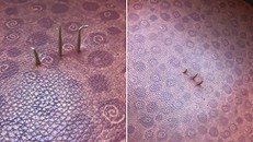 Tăm nhọn bị cắm xuống ghế xe buýt. Ảnh: Serevella Wong.