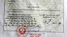 Bản sau sơ yếu lý lịch có bút phê của cán bộ xã Yên Thịnh. Ảnh: NVCC. 