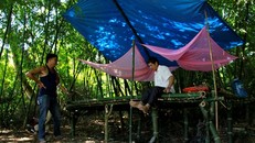 Người dân thôn Hạ dựng lán trại canh cát tặc. Ảnh: Võ Thạnh.