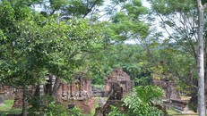 Hợp tác quốc tế trong bảo tồn di sản Mỹ Sơn