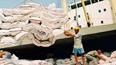 Việt Nam trúng thầu 141.000 tấn gạo XK sang Indonesia