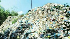 Rác thải được thu gom ở thị trấn Ba Tơ và các xã lân cận được huyện Ba Tơ cho mang lên đồi cao đổ trực tiếp ra môi trường