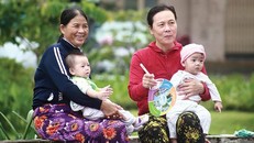 Cư dân chung cư đến từ nhiều vùng miền, tính cách khác nhau nên rất cần sự nhường nhịn để có một không gian sống thanh bình