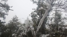 Băng tuyết trên đỉnh Trống Páo Sang (Mù Căng Chải, Yên Bái). Ảnh: Giàng A Lù