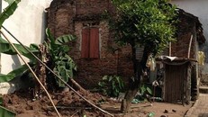 Khu vườn nơi đối tượng giấu xác các cháu.