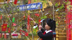 Mang tết sớm tới thầy trò vùng cao Hòa Bình