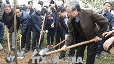 Đồng chí Trần Quốc Vượng cùng các đại biểu đã trồng cây xanh tại Lăng Kinh Dương Vương. Ảnh: TTXVN