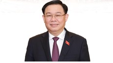 [Infographic] Tiểu sử Chủ tịch Quốc hội Vương Đình Huệ