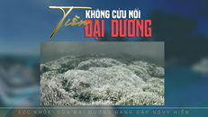‘Sức khỏe’ đại dương đang gặp nguy hiểm - Bài 1: Tiền không cứu nổi đại dương?!