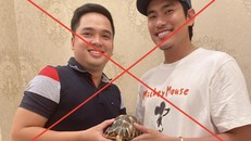 Hình ảnh ghi lại cảnh nam diễn viên Kiều Minh Tuấn cầm trên tay một cá thể rùa bức xạ quý hiếm được liệt kê trong Phụ lục I Công ước Quốc tế về buôn bán các loài động, thực vật hoang dã nguy cấp (CITES I).