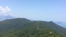 Sơn Trà được xem là báu vật không chỉ của riêng Đà Nẵng, nhưng rất mong manh trước xu hướng phát triển đô thị, du lịch