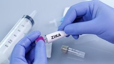 Chỉ sau một ngày, thêm 6 người Sài Gòn mắc Zika