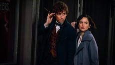 Warner Bros. rốt cuộc cũng có một tác phẩm vừa gặt hái thành công về doanh thu, vừa được giới phê bình ngợi khen trong năm 2016. Ảnh: Warner Bros.