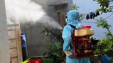 TP.HCM: Gần 700 ca sốt xuất huyết nhập viện/tuần