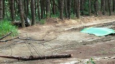 Hiện trường vụ án mạng.