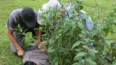 Kẻ mang 4 lệnh truy nã xả súng vào cảnh sát mật phục