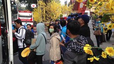 Cháy vé xe tết về các tỉnh miền Trung