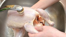 Vi khuẩn trong thịt gà có thể kháng lại thuốc kháng sinh
