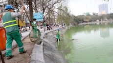 Hà Nội chi 500 triệu làm sạch nước hồ Gươm