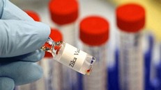 212 người Việt nhiễm virus Zika