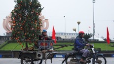 Thu nhập của những người chở cây cảnh thuê dịp Tết khá cao. Tuy nhiên, công việc này cũng vất vả. 