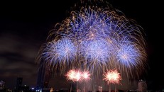 Một màn trình diễn pháo hoa ở Đà Nẵng năm 2015. 