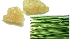 Trị ho bằng lá hẹ chưng đường phèn