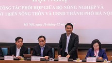 Chủ tịch UBND Hà Nội Nguyễn Đức Chung phát biểu tại buổi làm việc sáng 16/12. 
