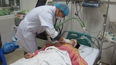 Cảnh báo cúm gia cầm từ Trung Quốc xâm nhập vào Việt Nam