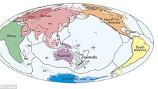 Zealandia là lục địa mới được khám phá trên Trái Đất. Ảnh: GSA Today.