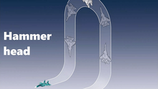 Sơ đồ miêu tả động tác Hammer head. Đồ họa: Aviation above.